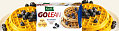 Kashi Go Lean:  Blueberry Waffles