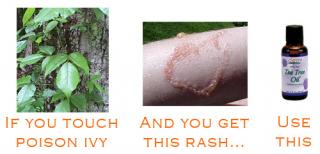 Defeat Poison Ivy With Tea Tree Oil