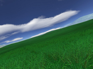 Seriously Green: No Impact Environmentalists