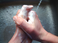 Antibacterial Soap vs. Regular Soap