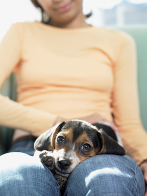 Sunday Confessional:  I Didn't Mean To Be Insensitive