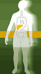 Artificial Sweeteners Not So Sweet for Your Health Artificial Sweeteners Not So Sweet for Your Health