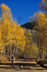 Outdoor Activities, Just a Few Ideas