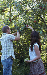 Get Physical: Pick Your Own Apples Get Physical: Pick Your Own Apples