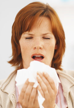 The Cold, Hard Facts of the Common Cold
