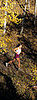 Running and Endurance