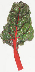 Swiss Chard Fills the Holes in Your Diet