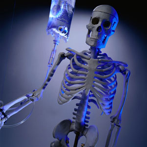 Spooky Quiz: Blood, Guts and Bones