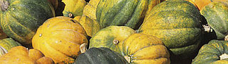 Acorn Squash: Five Low Cal Ways 