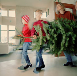 Get Physical: Cut Your Own Christmas Tree