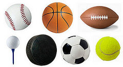 What Is Your Favorite Sport?