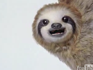 Freakalicious Japanese Diet Drink Ad