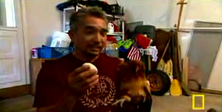 The Dog Whisperer Is So Butch...
