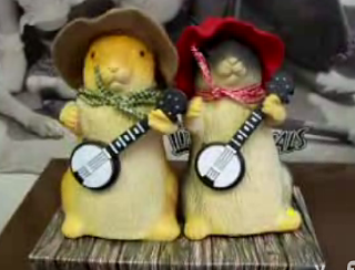 Dueling Banjos