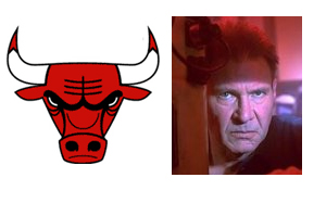 bulls-737134 bulls-737134