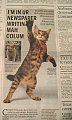 Cute Alert: Cat In The Newspaper