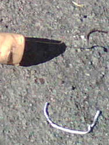 Found In The Street