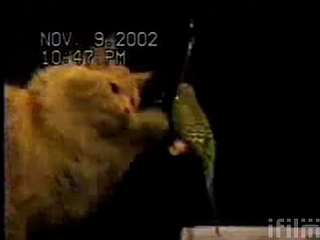 More Interspecies Lovin'