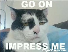 LOL Cats + The Cure = Awesome