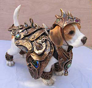 Cute Alert: Little Dog in Armor
