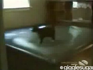 Happy Caturday!