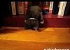 Furry Book End