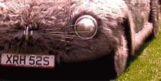 Cute Alert: Bunny Car