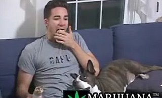 Weed: Most Hilarious Side Effects Ever