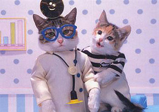Animals With Day Jobs