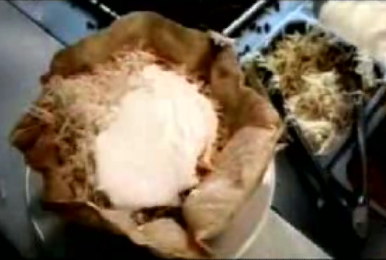 Mr. Giant Taco Salad Inventor: Genius!