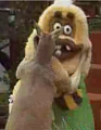 Kangaroo Vs. Mascot