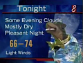 The Insult Comic Dog Does The Weather