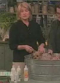 Cute Alert: The Dog, Not Martha