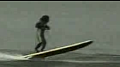 Water-Skiing Monkeys