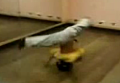 'Lil Break Dancer
