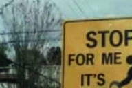 Curbside Comedy