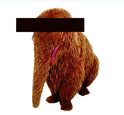 Guess Who? Guess Who?