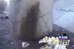 Breaking News: The Phantom Pooper