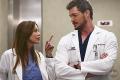 When It's Meredith Grey vs. Facebook, Meredith Wins
