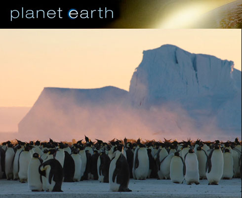 Planet Earth Miniseries: Just ... Wow