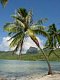 islandmama