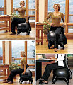 The BalanceBall Is Good For Your Back And Your Butt