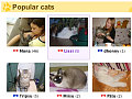 Website of the Day: United Cats 
