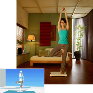 Wii Fit Takes Exergaming To The Board