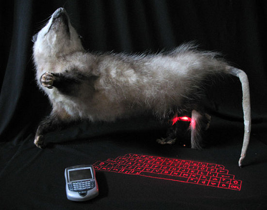 Text-O-Possum = Exactly What You Think
