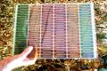 Pink Power: Unique Solar Power Generates More Energy