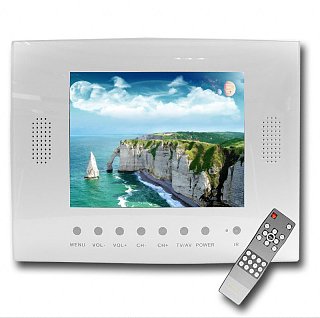 Waterproof LCD Monitor With Remote 