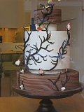 IMG_1158.JPG