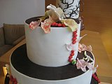 IMG_1166.JPG