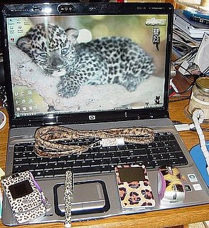 Leopardcc Shows Us Her Spotted Gadgets! 
